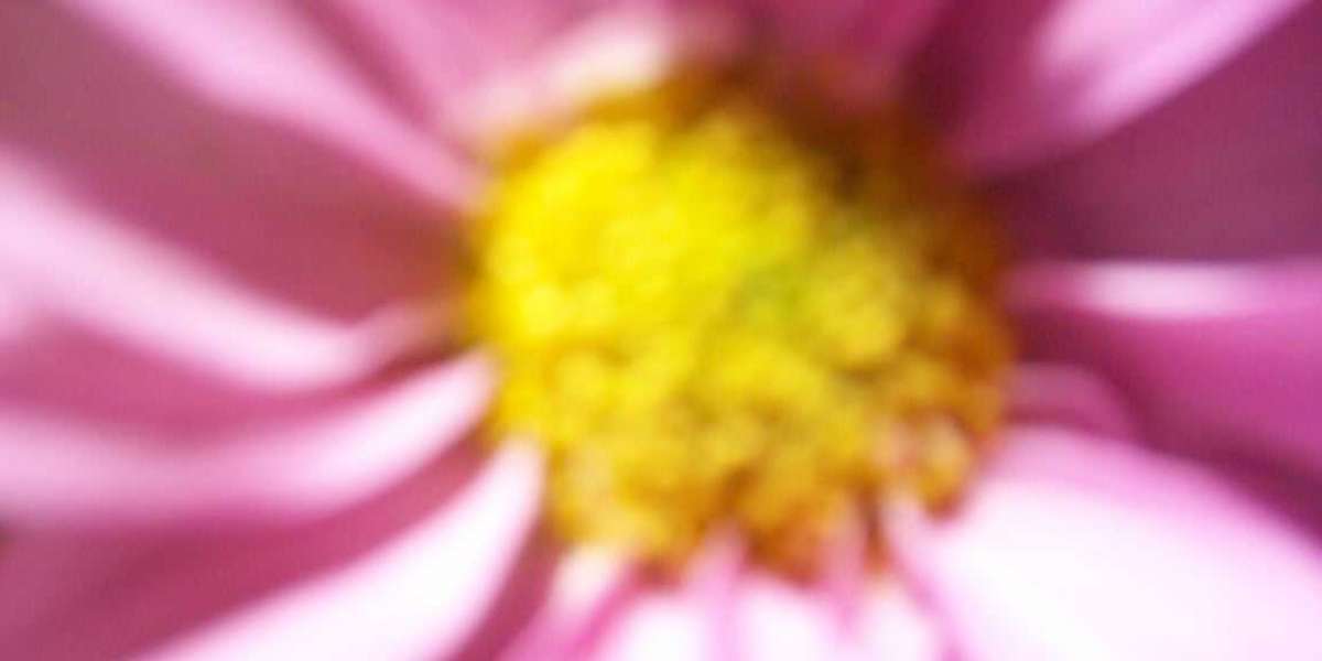 Slots & Live-Spiele mit 1 250 Bonus