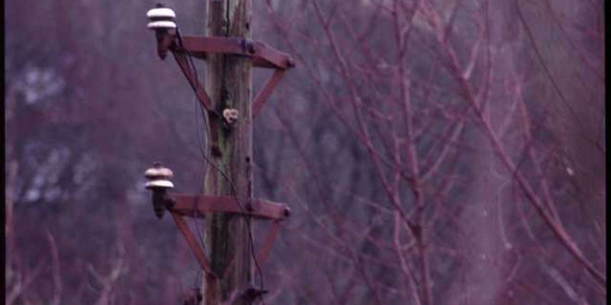 Best Online Casinos Australia Traffic Plus Rates Real