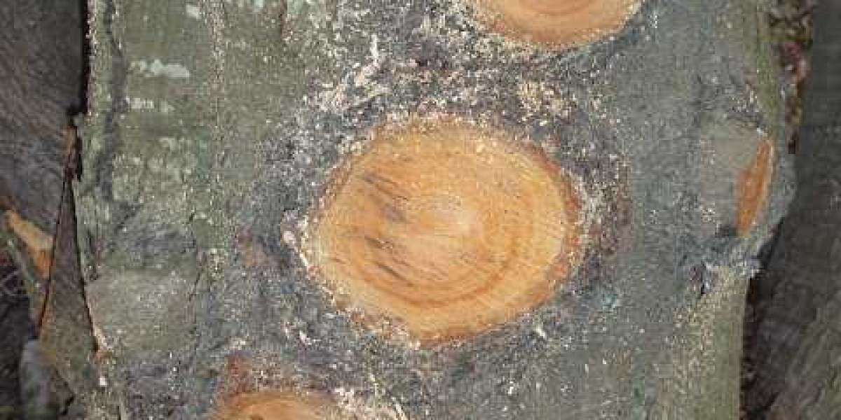 OAKS BRISBANE CASINO TOWER SUITES HOTEL VIEWS OF SOUTH BANK