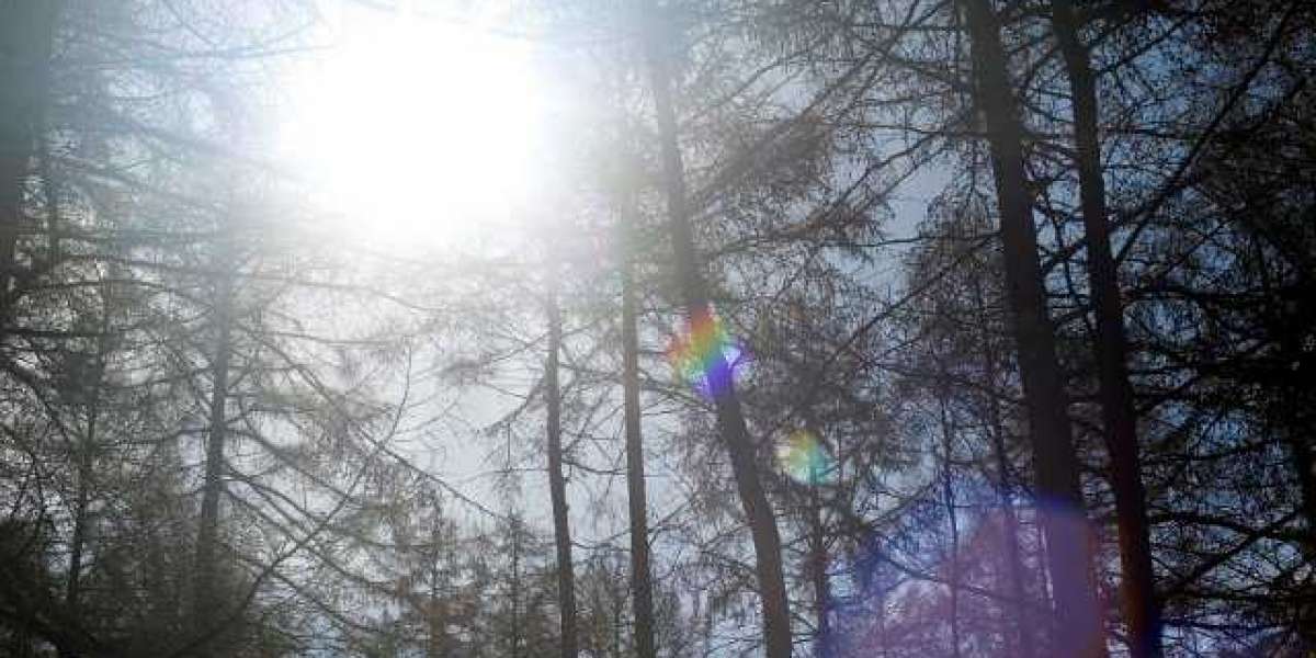 The Casino Canberra : A Capital Attraction