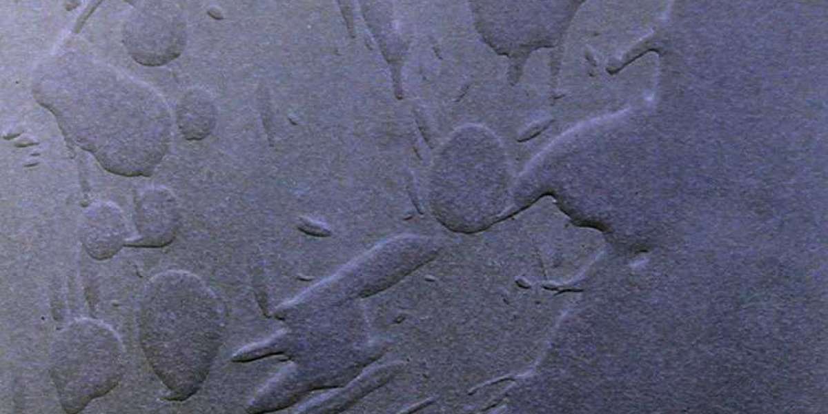 Winspirit Casino ️ Join and Claim Your Welcome Bonus in Canada