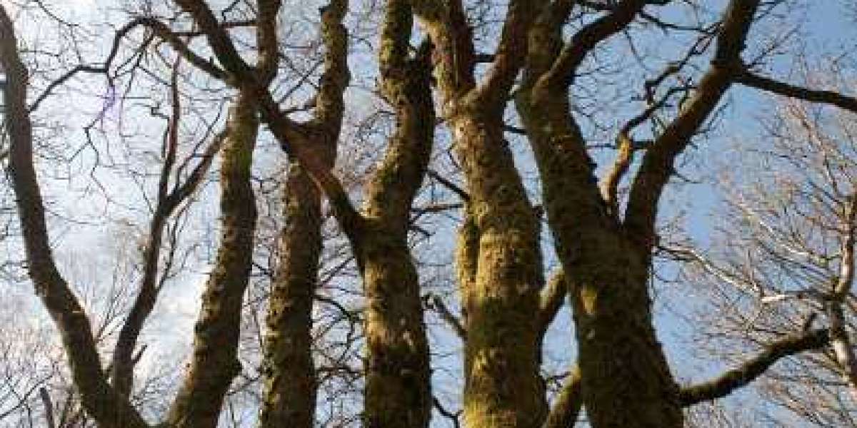 Effortless & Secure Banking at Ozwin Casino