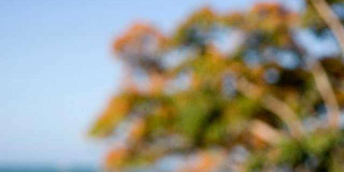 Crown Casino Online: A Comprehensive Review