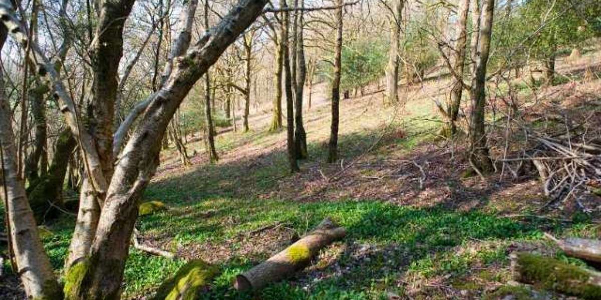 New-Casino hiring Property Consultant in Karāchi, Sindh, Pakistan LinkedIn