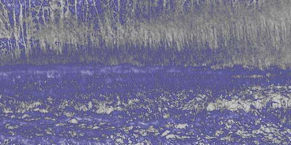 Your Ultimate Aussie Gaming Experience