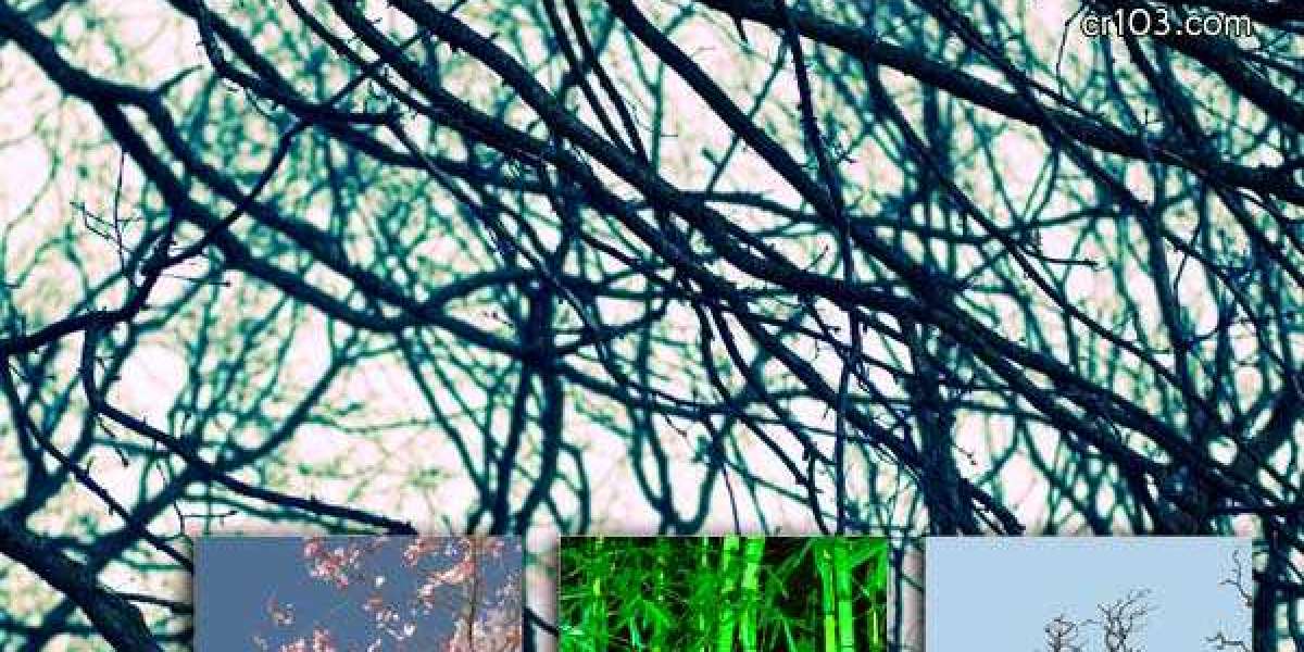 Play Top Slots & Bonus Games Online