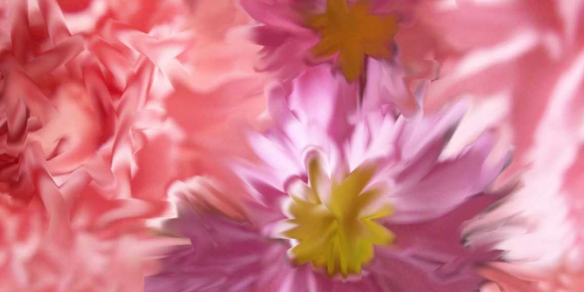 Who Owns Darwin Casino?