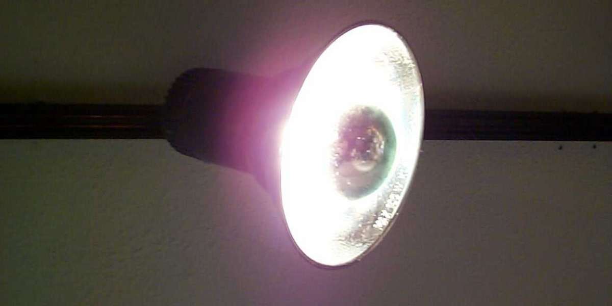 Casinos in Houston TX Experience 10 Best Casinos in the City