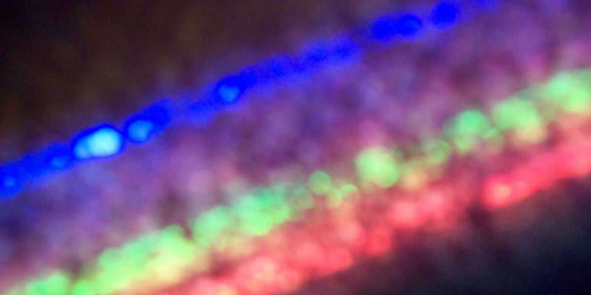 Top 7 casino apps in November 2025: How to get started at real money online casinos