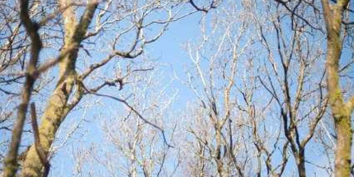 Login, Welcome Bonus 125% Up To C$6000