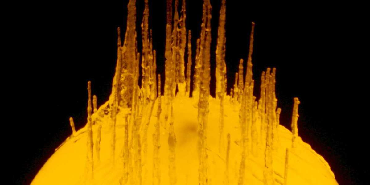 CrownCoinsCasino Review & My Verdict: Is It Legit?