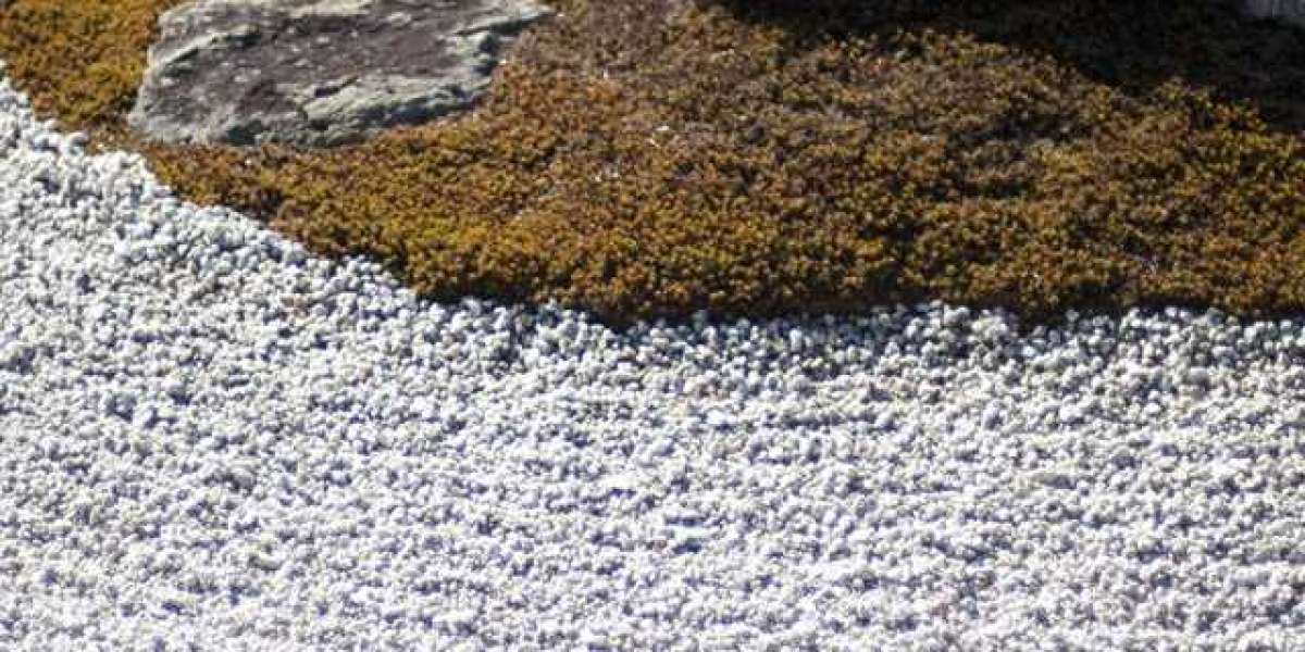 Secure Access To Your Account Online