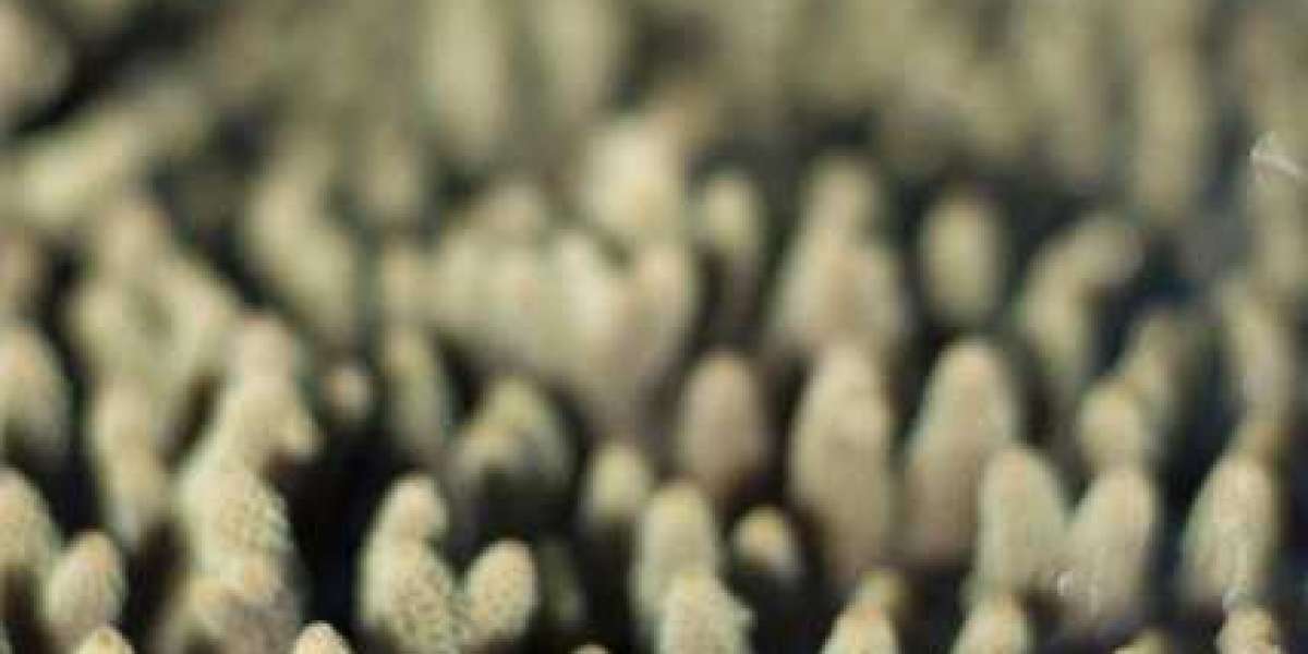 Bowling Gold Coast Hotel & Casino in Las Vegas, NV