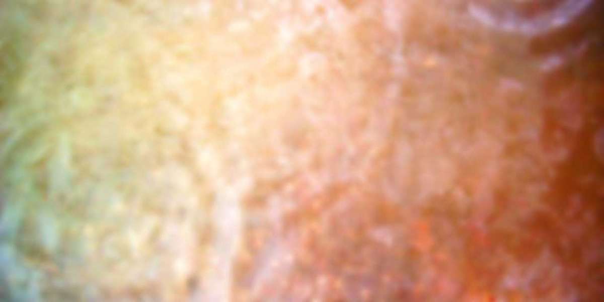 Play 19,430+ Free Slot Games 98 5% RTP No Download