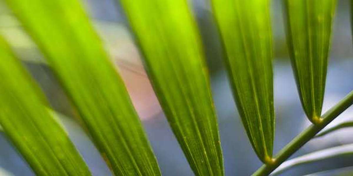 Best Online Casinos USA 2025 Real Money, Bonuses & New Sites