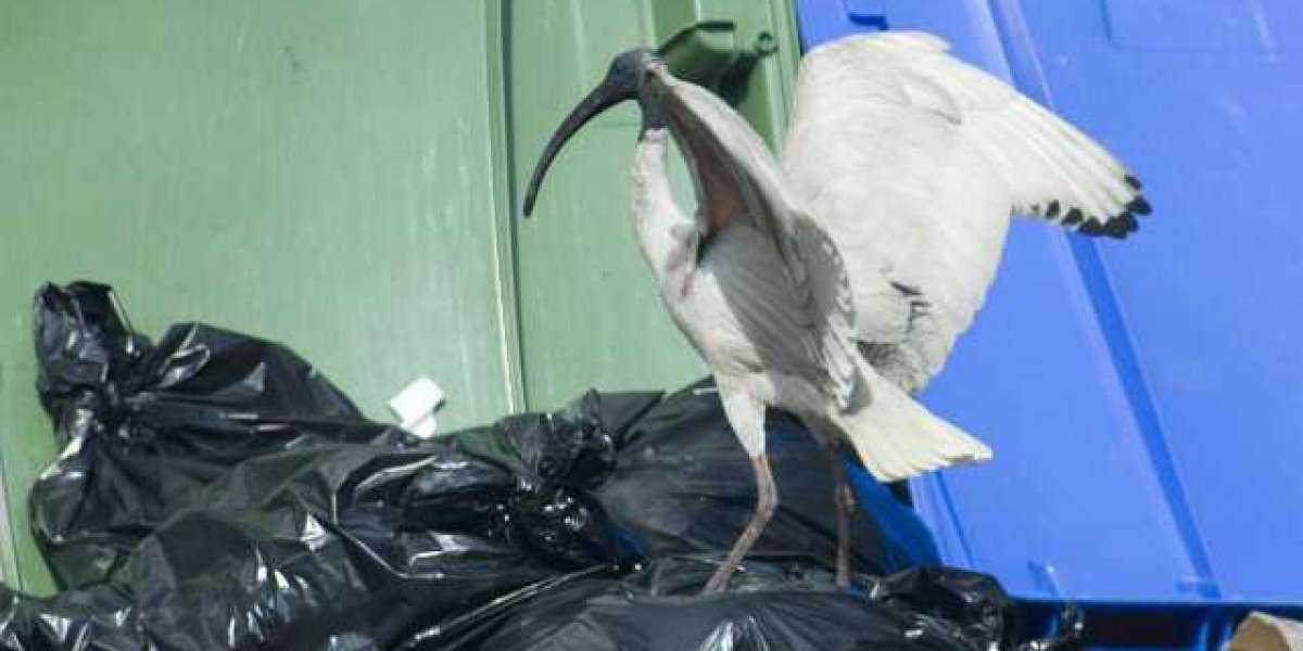 Rocket Casino Australia Play Pokies Online