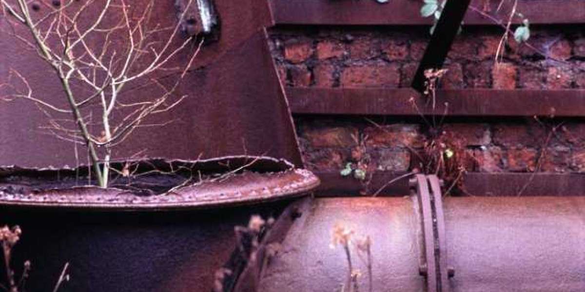 North Star Express East: free bus to Wisconsin Northwoods getaways