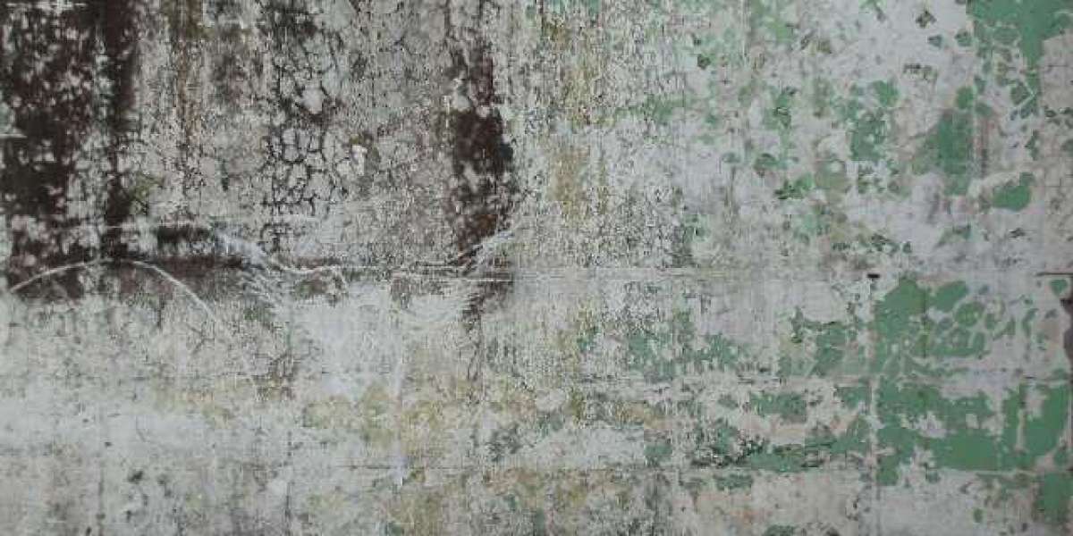 Your Ultimate Aussie Gaming Experience