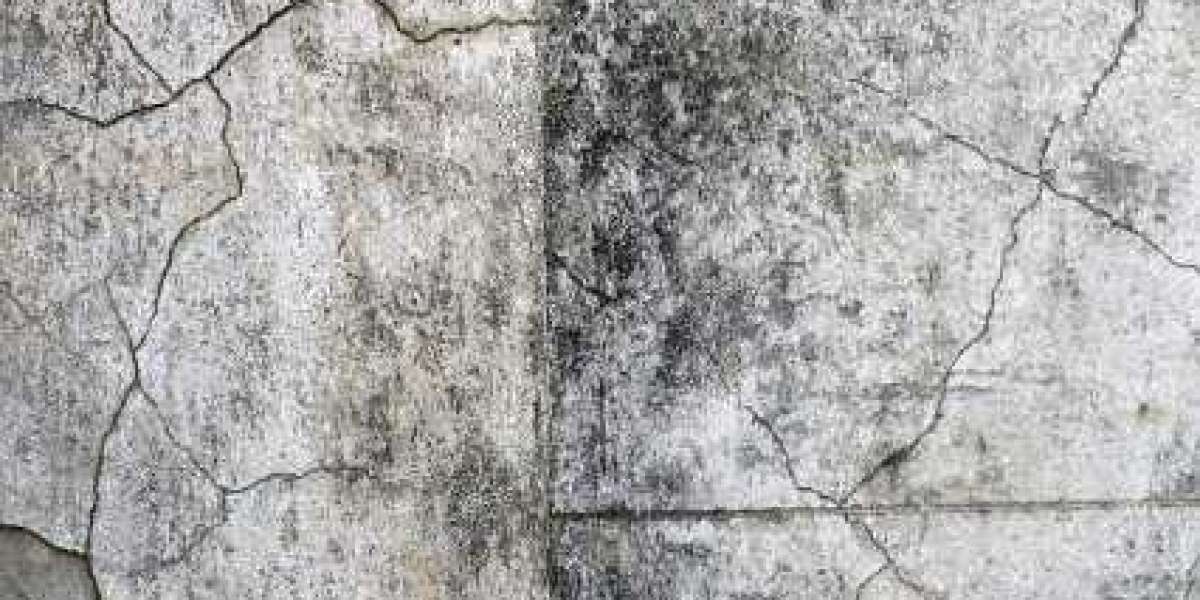 Login, Welcome Bonus Up To $1000